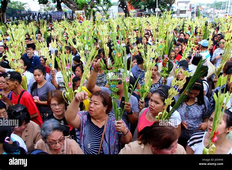 Filipino Devotees Wave Their Palm Leaves Palaspas While Receiving A