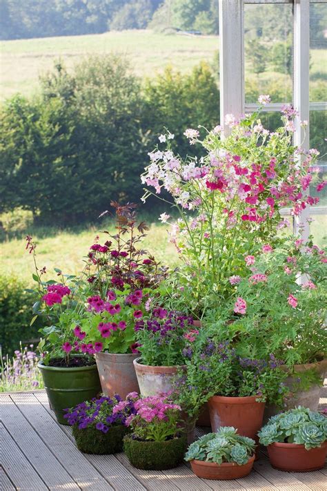 23 Container Cottage Garden Ideas To Consider | SharonSable