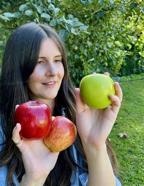 Types Of Apples 🍎 🌳 Discover The Diversity And Flavors