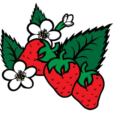 Vector Image Of Freshly Picked Strawberries Free Svg