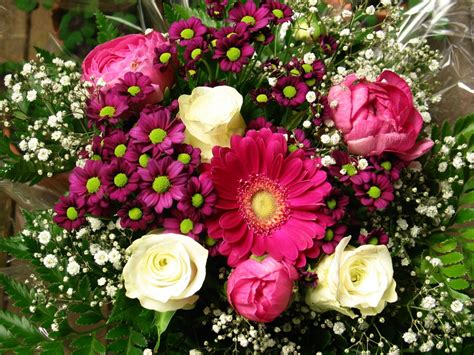 kostenlose foto natur blume blütenblatt feier liebe strauß romantisch bunt rosa