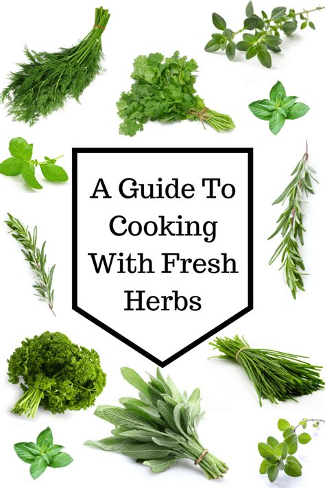A Guide To Cooking With Fresh Herbs Cooking With Fresh Herbs Cooking