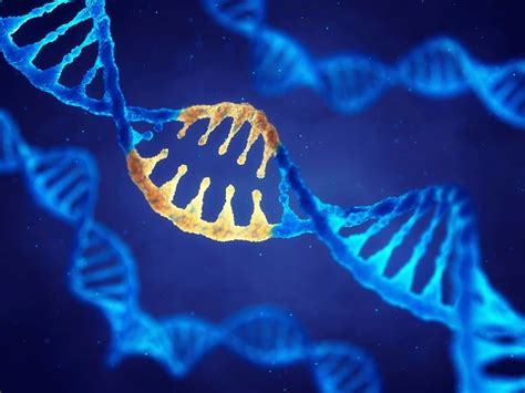 What Is A Gene Drive Live Science