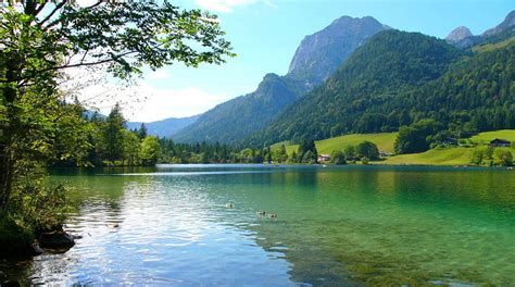 Summer Hintersee Forest Cottage Houses Birds Bonito Trees Lake