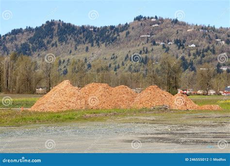 Large Pile Of Outdoor Bark Mulch And Field Stock Photo Image Of Area
