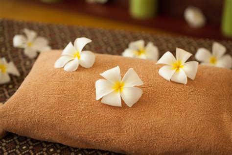 Traditional Massage Therapy Spa And Wellness