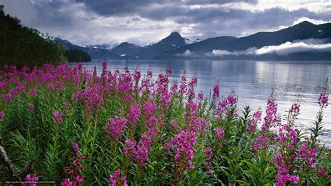 Download Wallpaper Kenai Fjords National Park Alaska Landscape Free