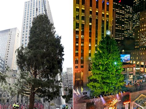 The Rockefeller Christmas Tree Always Looks Like A Hot Mess When It Arrives And Photos From