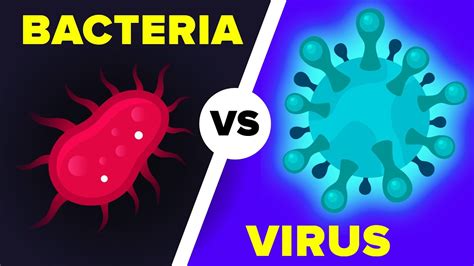Virus Vs Bacterias Cu L Es Realmente La Diferencia Youtube