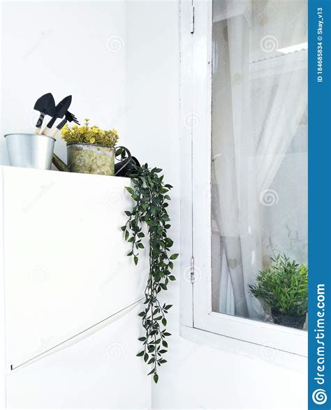 Corner Wall Hangings With Hanging Plants, Windows And Flowers Stock Photo - Image of white ...