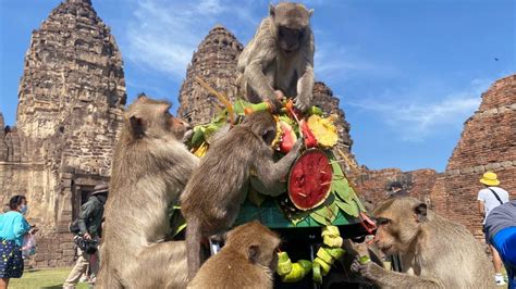 Thai Monkey Festival Returns As Tourists Come Back