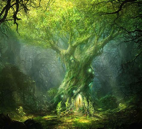Tree Fantasy Forest Forest Art High Fantasy Fantasy World Fantasy