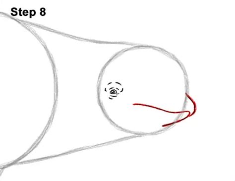 How To Draw A Beluga Whale Video And Step By Step Pictures