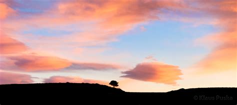 Lone Pine Sunset Colorado Nature Windows Photography Fine Art By