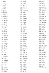 Screen Shot 2015-03-09 at 10.10.15 PM - Nifty Pet Names