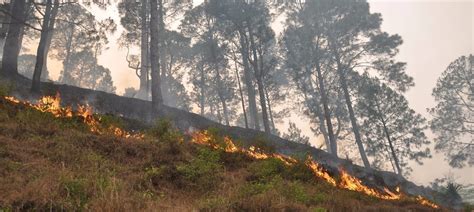 Uttarakhand Forest Fires Flames Brought Down By More Than 70 Says