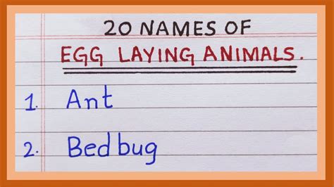 Names Of Egg Laying Animals 10 Names 20 Names Of Egg Laying Animals