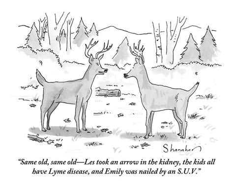 Two Deer In A Forest Are Seen In Conversation Drawing By