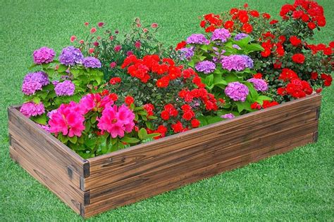 We did not find results for: 5 Best Wooden Raised Garden Beds For Vegetables | Bed ...