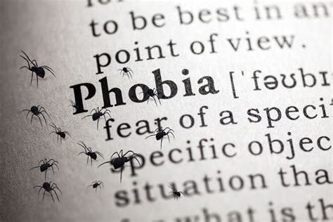 Face Your Fears Slohs Students Talk About Their Weirdest Phobias