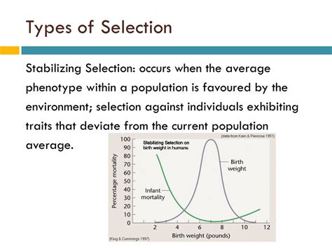 Ppt Natural Selection Powerpoint Presentation Free Download Id2162528