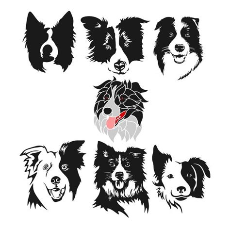 Pin By Cuttabledesigns On Animals Border Collie Art Collie Dog