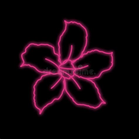 Glowing Adenium Flower Line Art One Line Artwork Pink Color Design