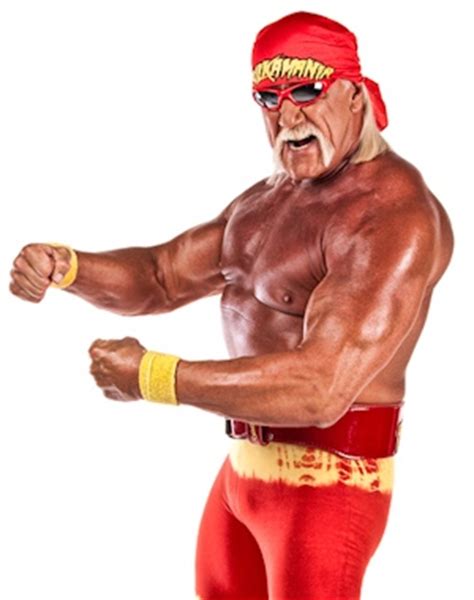 Hulk Hogan WWE Return Photos