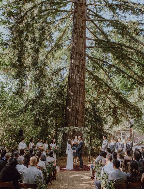 Head into the Woods with 14 Must-See Forest Weddings! | Green Wedding Shoes