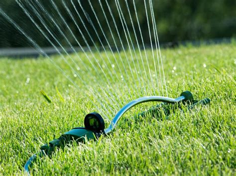 Learn The Right Way To Water Your Lawn Hgtv