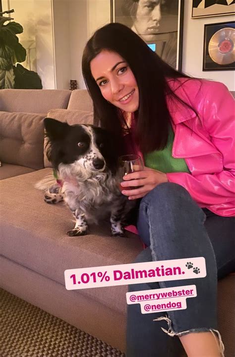Marina Diamandis Dog Ig Story In 2021 Marina And The Diamonds