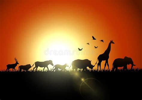 Silhouette Sunset Animals On Savannas Stock Vector Illustration Of