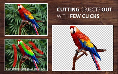 You can quickly extract the subject from removing any unnecessary image background online and put the subject on the certain occasion you like. Automatically Remove Background with PhotoScissors Online!