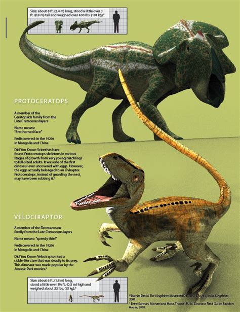 Two Fighting Dinosaurs Answers In Genesis Dinosaur Pictures