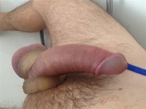 Self Cbt Cock And Ball Training Ball Stretching Peeing