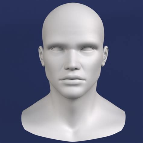 3d Male Head Model