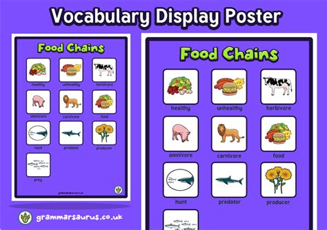 Science Animals Including Humans The Food Chain Vocabulary