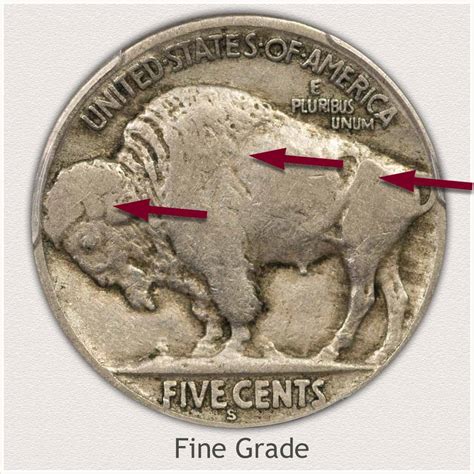 Buffalo Nickel Value Discover Their Worth