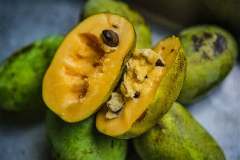 How To Grow And Eat A Pawpaw The New York Times