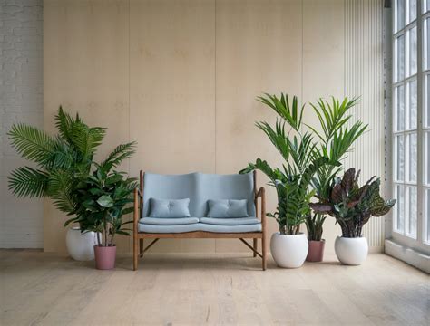 Decorating Living Room With Plants Tutorial Pics