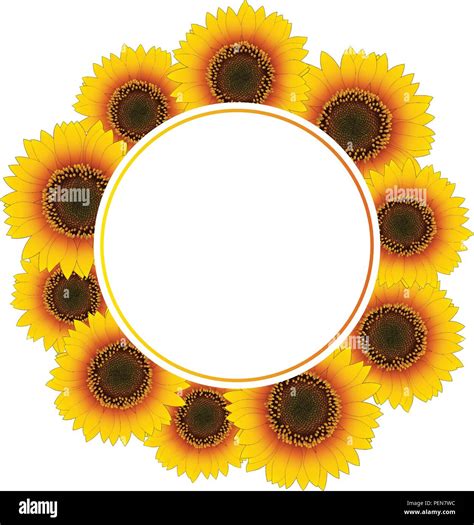 Orange Yellow Sunflower Banner Wreath Isolated On White Background