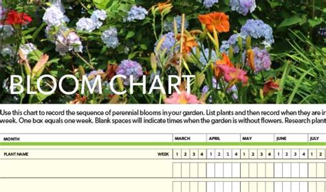 Peony Bloom Time Chart