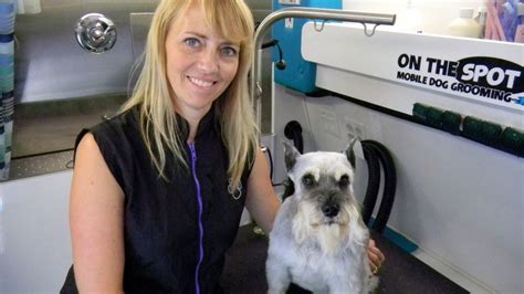 Your dog will be groomed in a. On the Spot Mobile Dog Grooming - Request a Quote - Pet ...