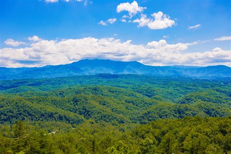 We did not find results for: Awesome View : 3 Bedroom Vacation Cabin Rental Sevierville ...