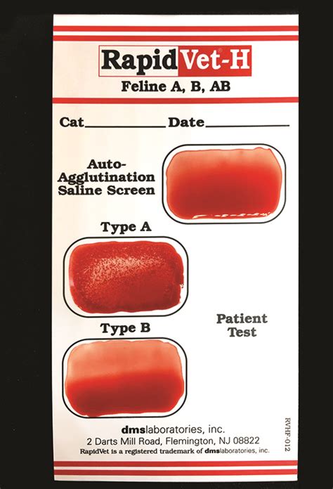Blood Transfusions In Anemic Dogs And Cats Todays Veterinary Nurse