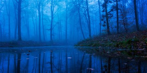 Cold Night Foggy Forest Cold Night Magical Forest