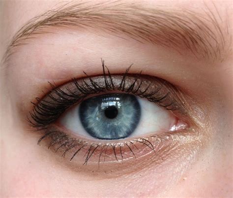 Pin By Lisa Hope On Eyes Gray Eyes Blue Eyes Aesthetic Iris Eye
