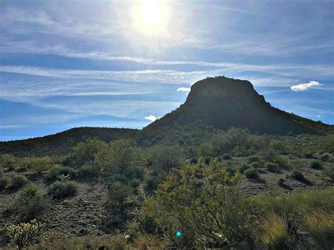 Joshua Tree Forest Parkway Scenic Route 93 Arizona A Cork Fork