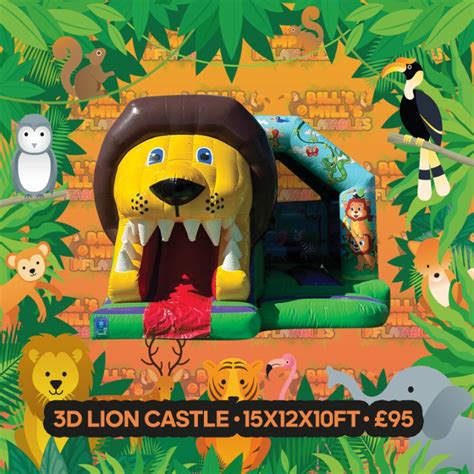 Lion 3d Castle Bills And Mills Inflatables