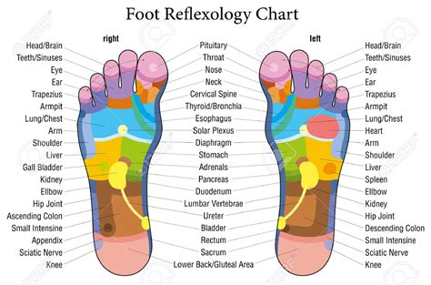 Foot And Hand Reflexology — Reflexologist Facialist